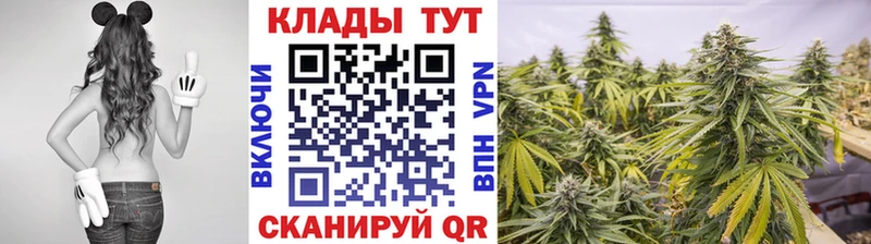 Купить Рошаль Конопля  Кокаин  A PVP  Мефедрон  ГАШИШ 