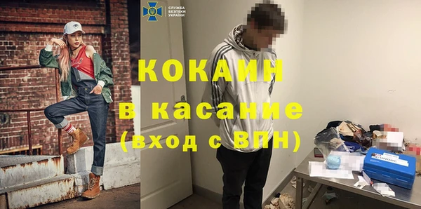гашик Алексеевка