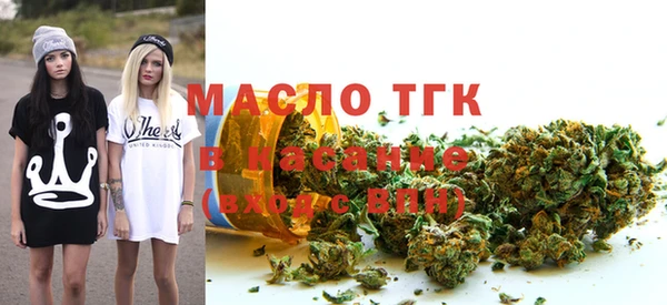 гашик Алексеевка