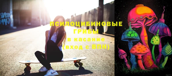 гашик Алексеевка