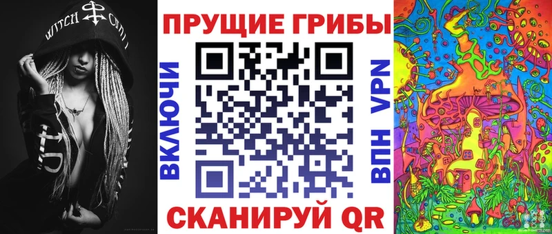 купить наркоту  Рошаль  Псилоцибиновые грибы GOLDEN TEACHER 
